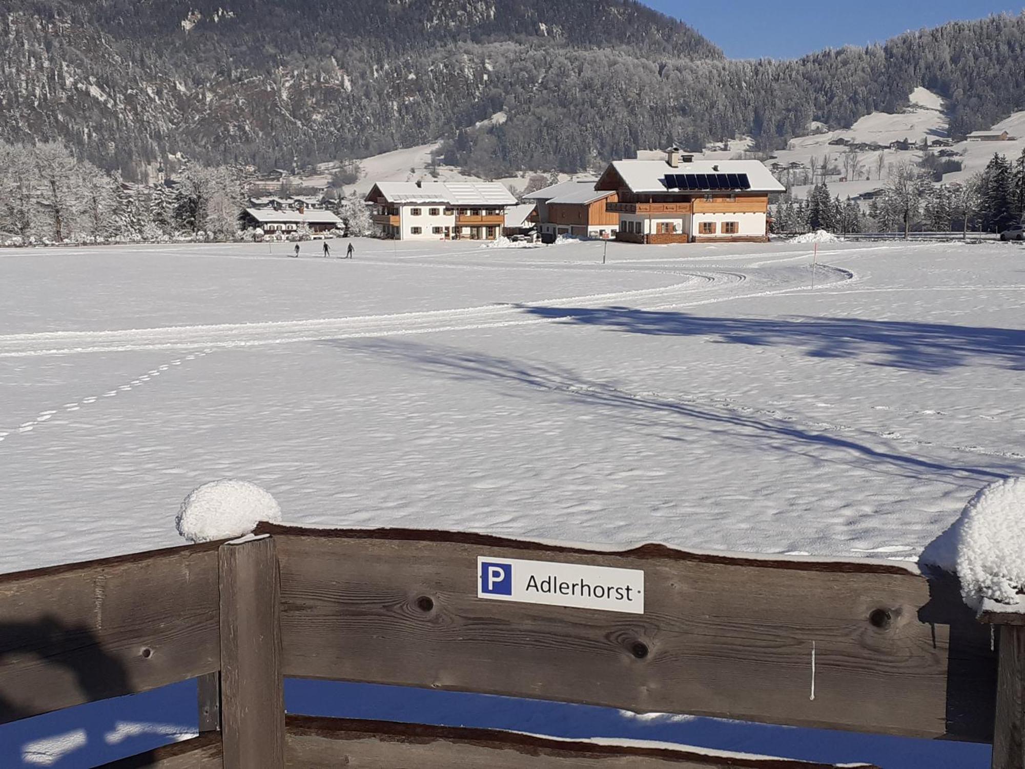 Ferienwohnung Adlerhorst Im Haus Lohrey Reit im Winkl Bagian luar foto